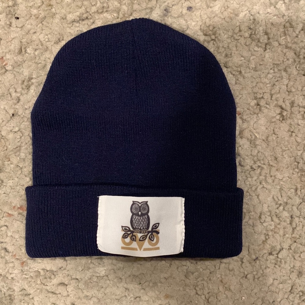 OVO Drake blue beanie